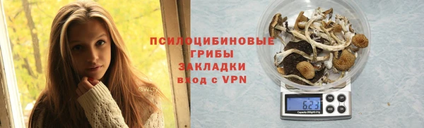 ПСИЛОЦИБИНОВЫЕ ГРИБЫ Баксан
