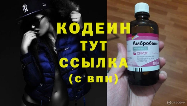 стаф Осташков