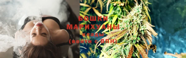 ПСИЛОЦИБИНОВЫЕ ГРИБЫ Баксан