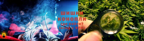 молекула духа Арсеньев