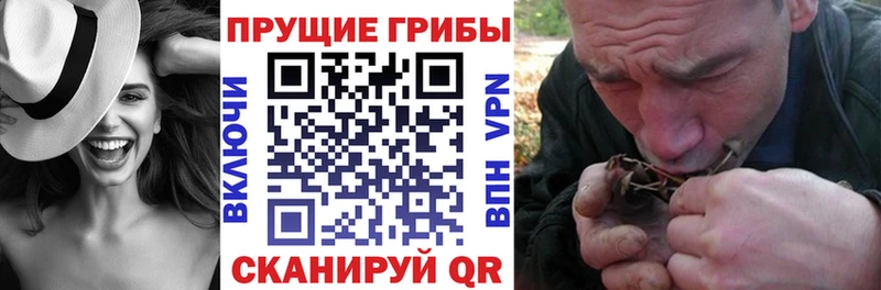 mega ссылка  Сосногорск  Галлюциногенные грибы Psilocybine cubensis 